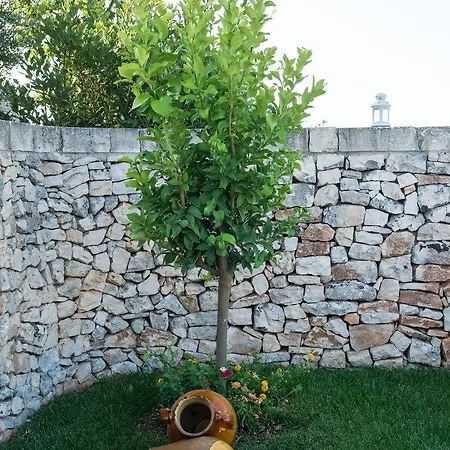 Tenuta Odegitria מרטינה פרנקה