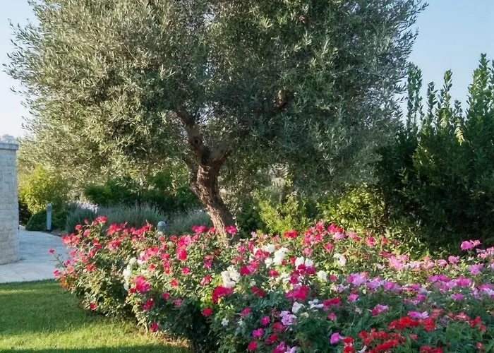 Tenuta Odegitria Hotel Martina Franca