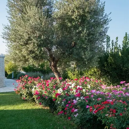 Tenuta Odegitria Hotell Martina Franca