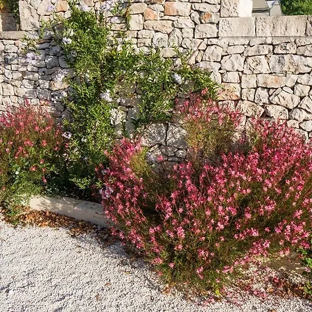 Hotel Tenuta Odegitria
