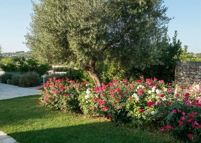 Tenuta Odegitria Hotel *