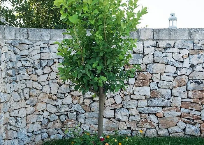 Tenuta Odegitria Martina Franca