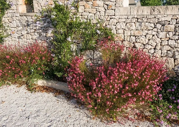 Hotel Tenuta Odegitria